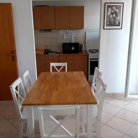 Maja تروغير